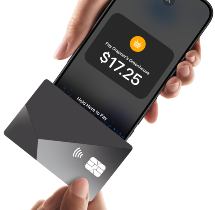 Online Payment